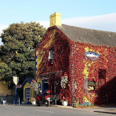 Kingfisher Lodge & Pub Castleconnell Exterior foto